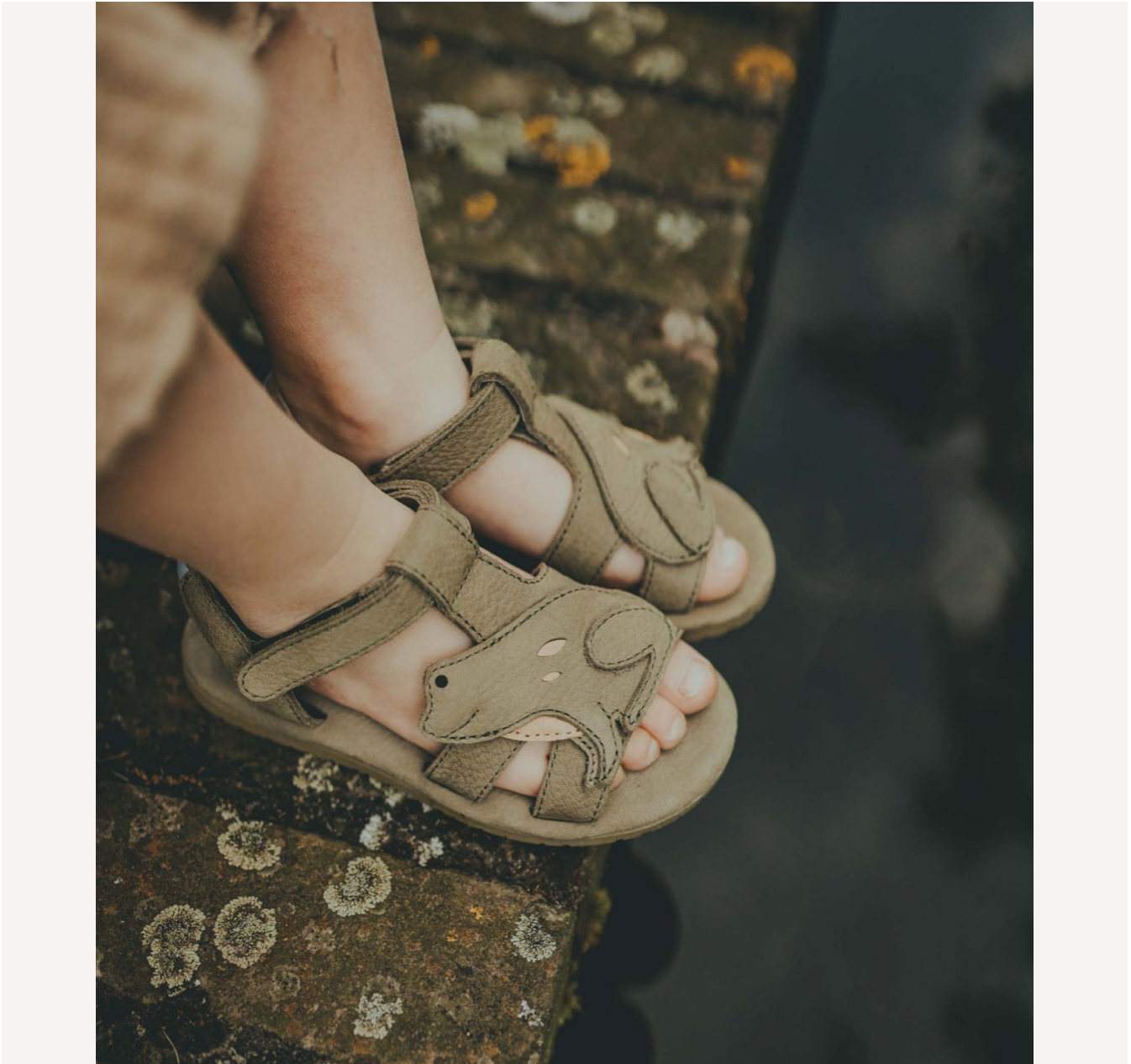New Collection | Escar/Frog sandal Sage