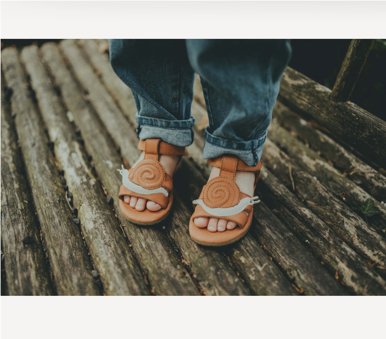 New Collection | Snail Walnut