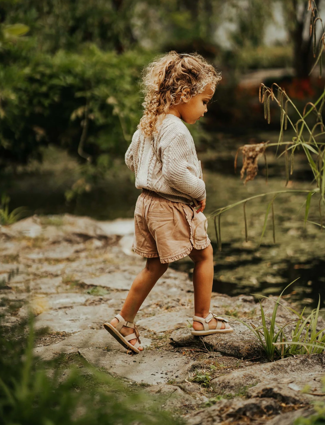 New Collection | Niven Shorts