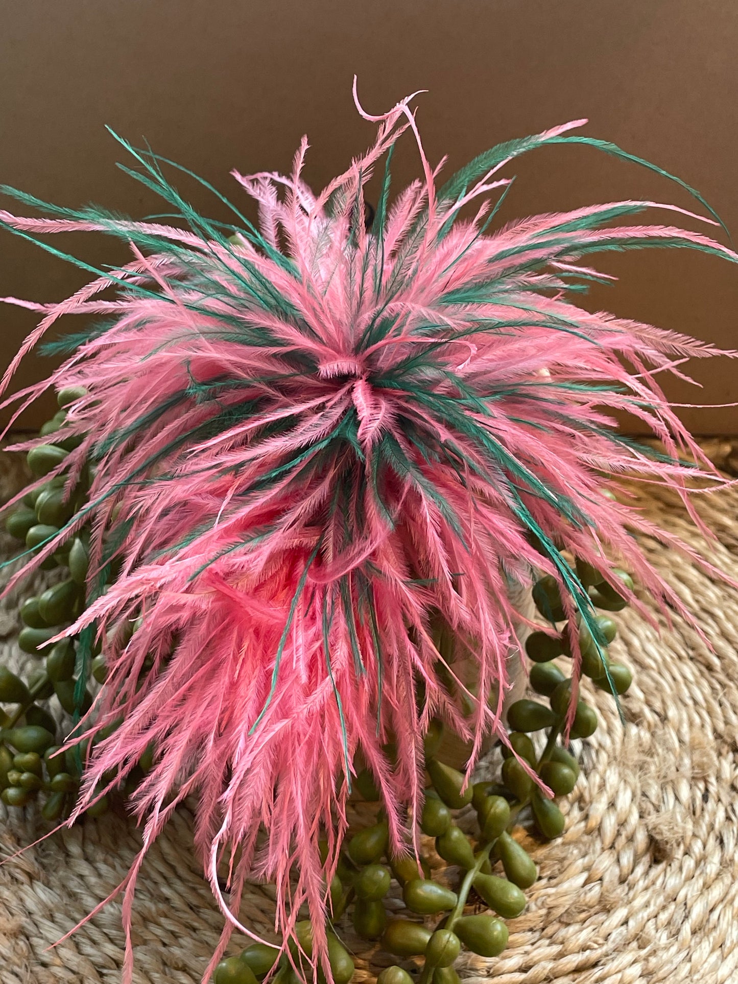 Ostrich Feather Brooch