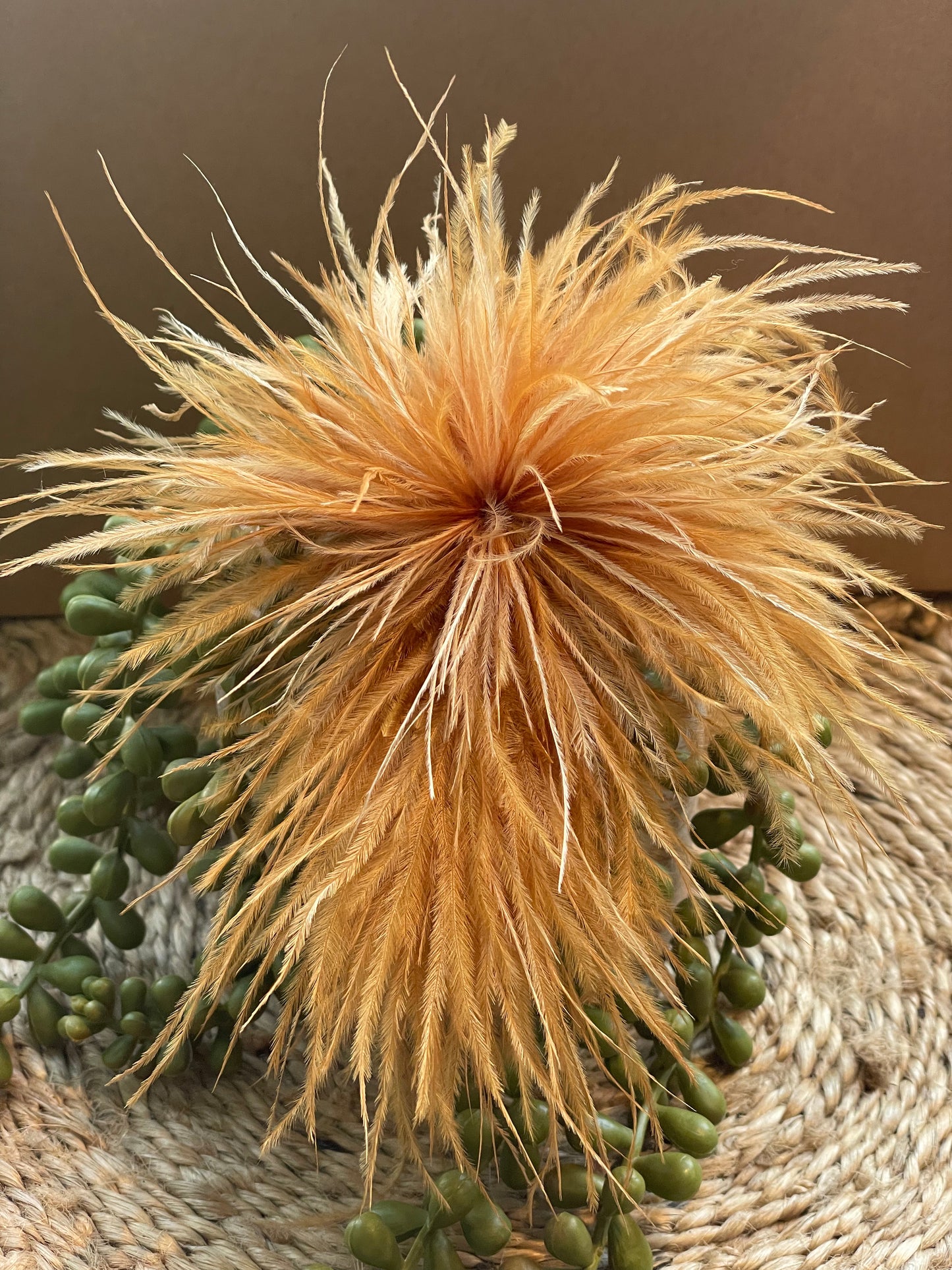 Ostrich Feather Brooch